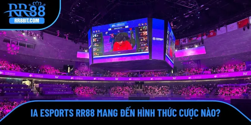 IA mang đến nhiều hình thức cược hấp dẫn